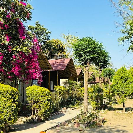 Camp High 5 Jayalgarh Hotel Dangchura Bagian luar foto
