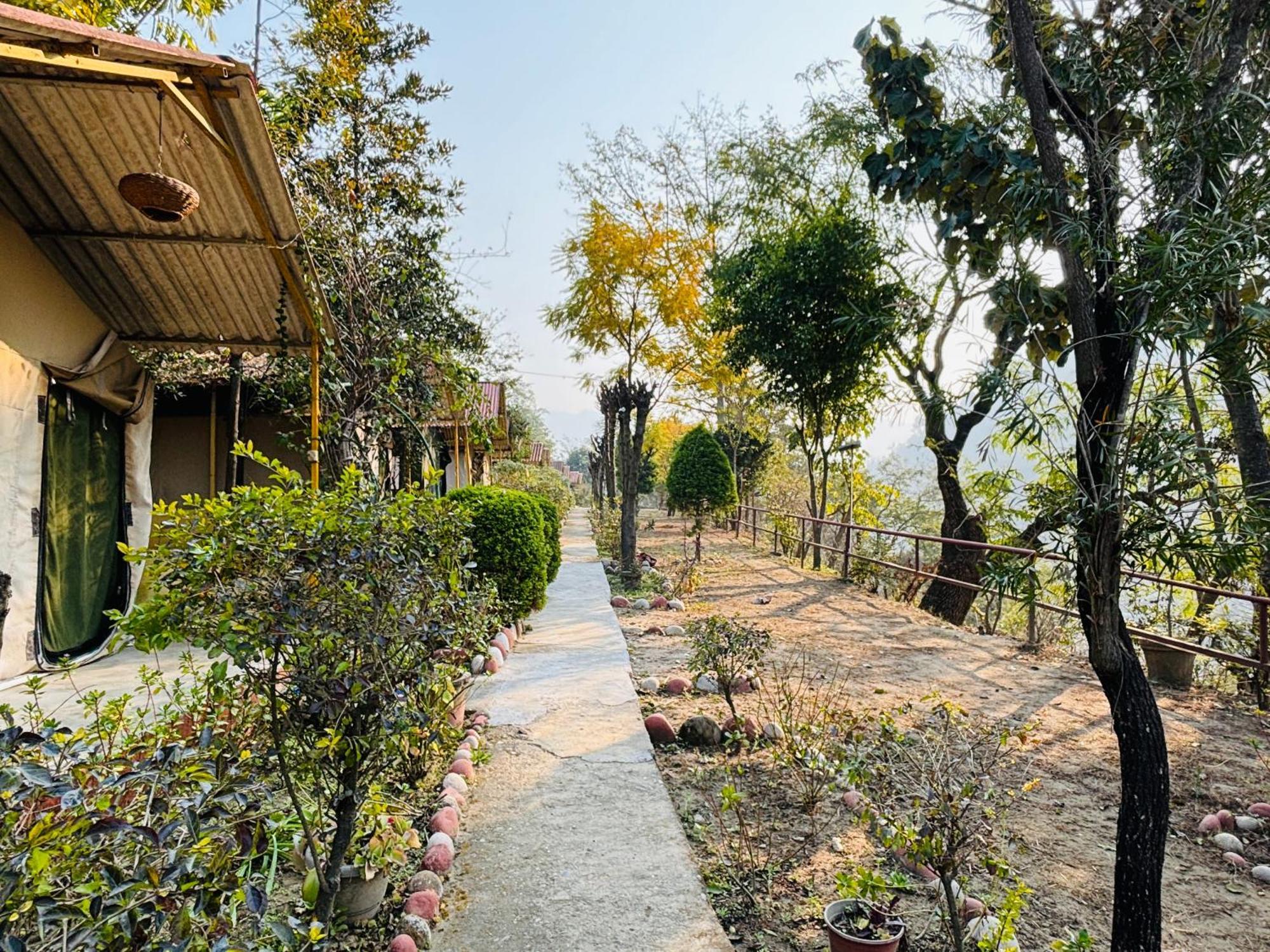 Camp High 5 Jayalgarh Hotel Dangchura Bagian luar foto