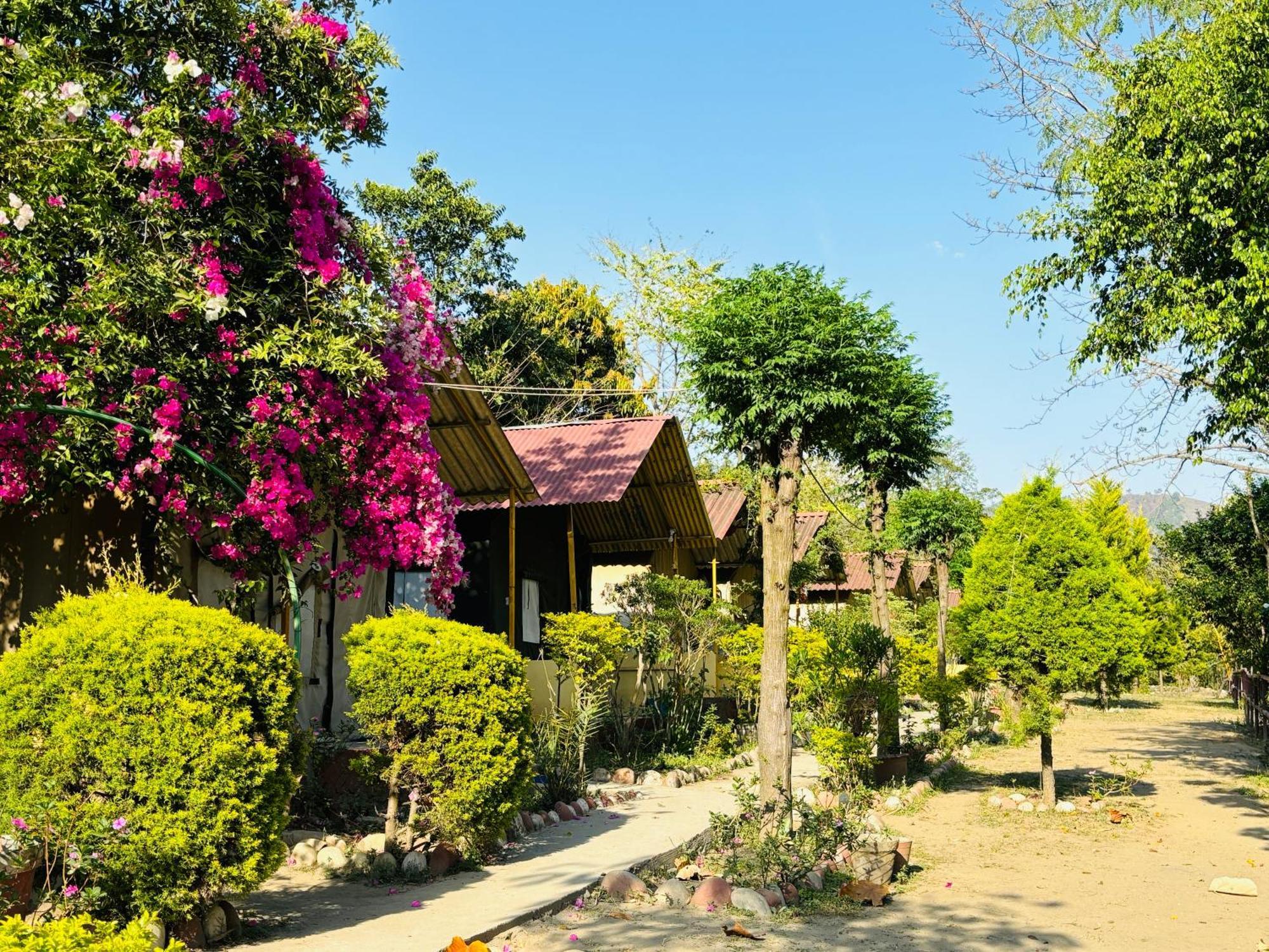 Camp High 5 Jayalgarh Hotel Dangchura Bagian luar foto