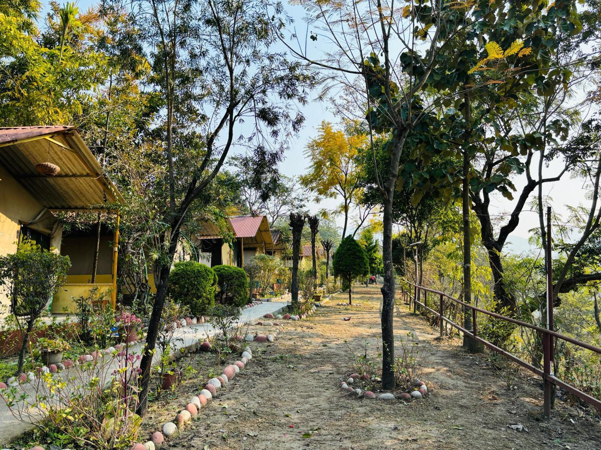 Camp High 5 Jayalgarh Hotel Dangchura Bagian luar foto